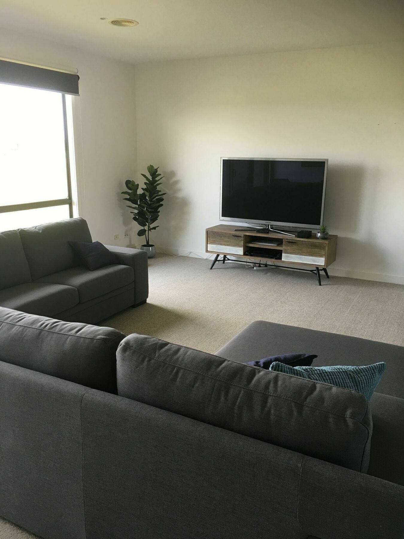 13 Shore Place Torquay Eksteriør billede